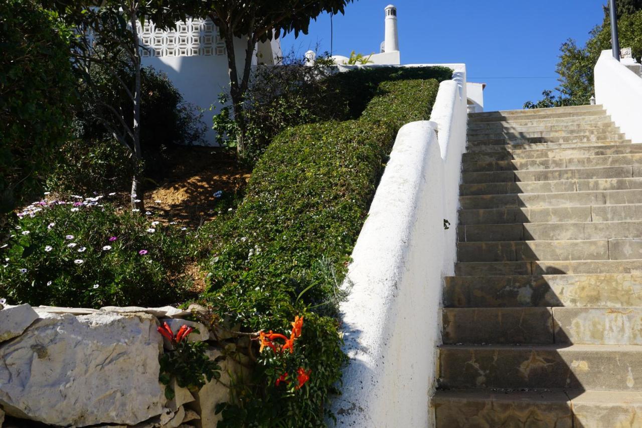 Casa Papaya Διαμέρισμα Καρβοέιρο Εξωτερικό φωτογραφία